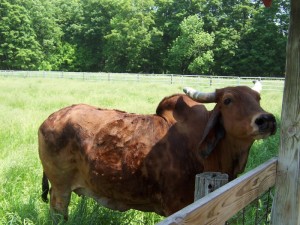 57thefarm4_800 57thefarm4_800
