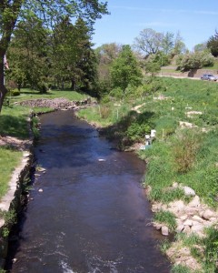 lodicreek2_lg
