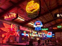 neons1_800