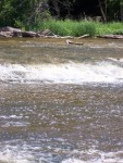 shebrapids_400