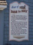 susieduck_lg