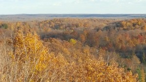 ogema_timmshill_towerview03