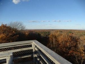 ogema_timmshill_towerview07