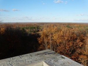 ogema_timmshill_towerview14