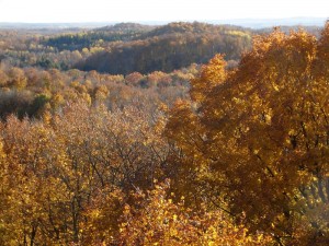 ogema_timmshill_towerview16