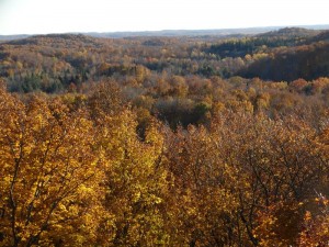 ogema_timmshill_towerview17