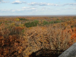 ogema_timmshill_towerview18
