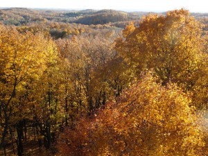 ogema_timmshill_towerview19