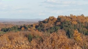 ogema_timmshill_towerview20