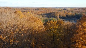 ogema_timmshill_towerview24