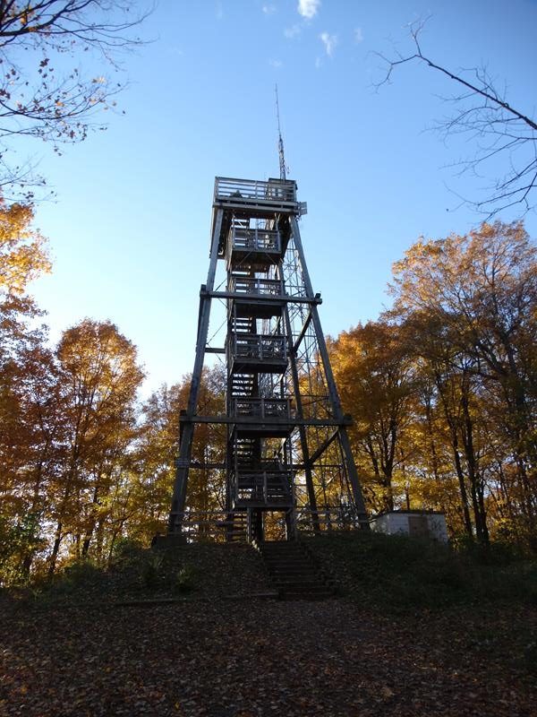 Timms Hill's lookout tower, right at the peak of Wisconsin's highest natural point.