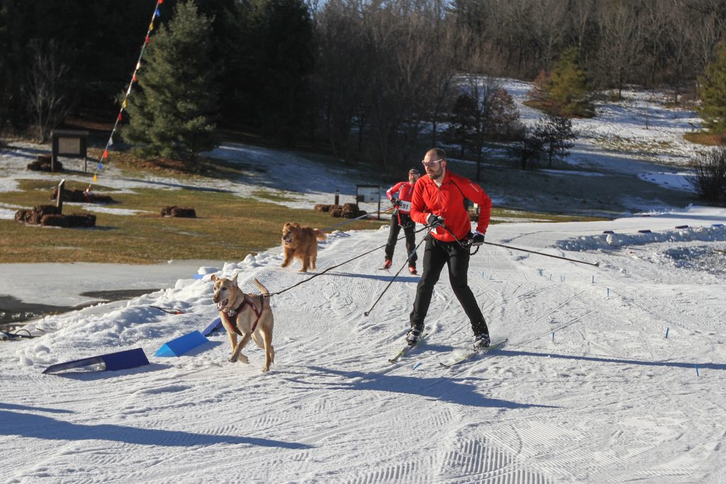 Madison Winter Festival, Skijoring