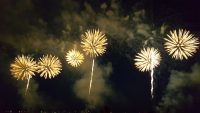 milwaukee-4thfireworks-2016-dandelions July 4th Milwaukee Fireworks over Lake Michigan, 2016