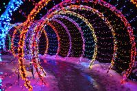 WPS Garden of Lights, Holiday Lights Wisconsin