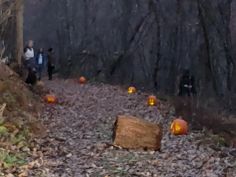 Norskedalen fall pumpkin path near Coon Valley, Wisconsin