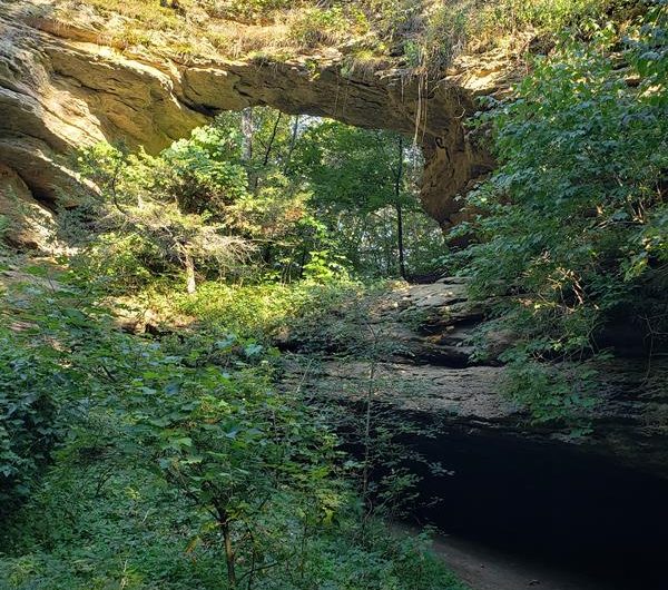 Natural Bridge State Park