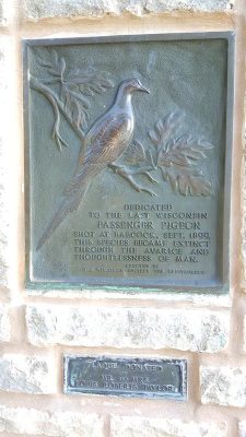 Passenger Pigeon monument at Wyalusing State Park, Wisconsin