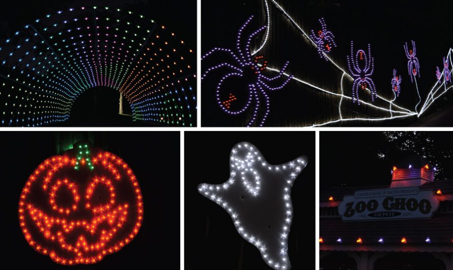 Halloween Glow Drive-Thru at Racine Zoo