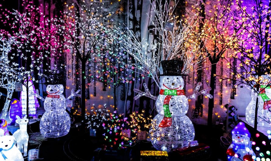 Boerner Botanical Gardens Winter Wonders Drive-Thru Holiday Light Show