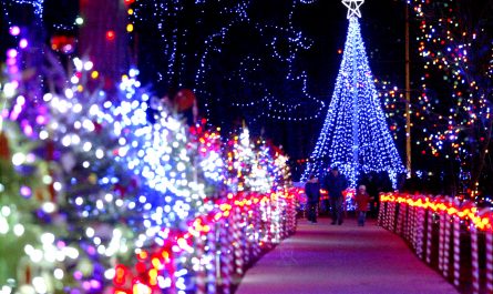 Marshfield Rotary Winter Wonderland lights in Marshfield, Wisconsin