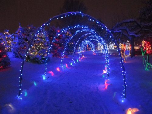 Janesville Holiday Lights at Rotary Botanical Gardens