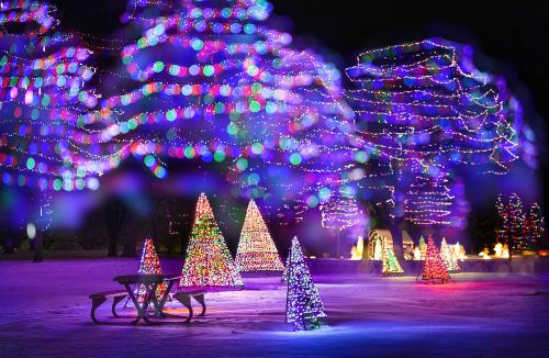 Oshkosh Celebration Of Lights Menominee Park State Trunk Tour
