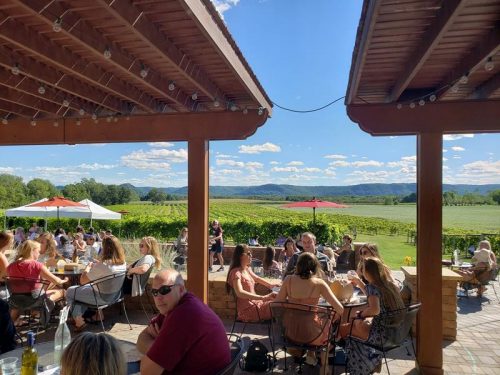Patio on a summer day at Elmaro Vineyard & Winery, Trempealeau, Wisconsin