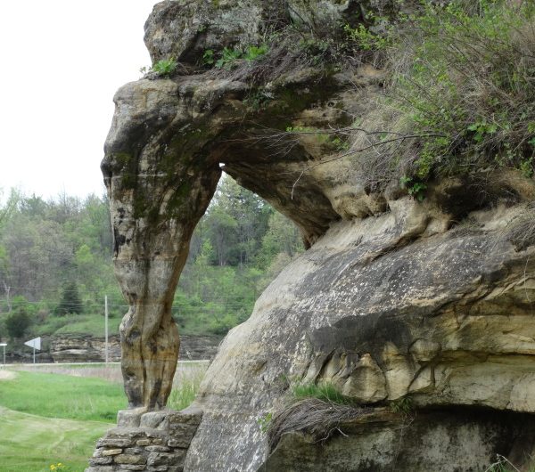 Elephant Trunk Rock