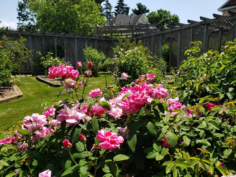 Gardens at the historic Upham Mansion, Marshfield, Wisconsin