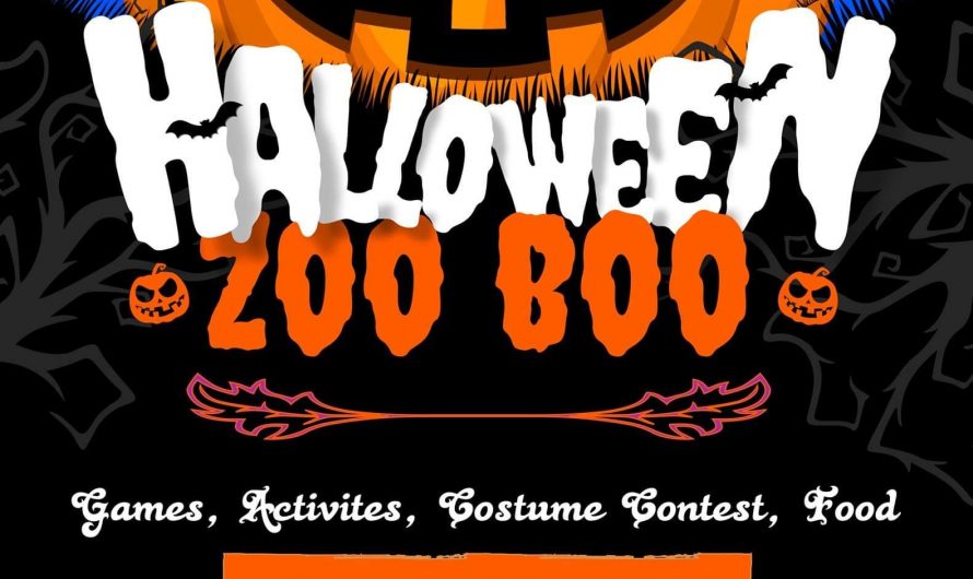 Halloween Zoo Boo at Lincoln Park Zoo