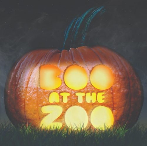 Milwaukee County Drive-Through Boo at the Zoo at Milwaukee County Zoological Gardens in Milwaukee, Wisconsin
