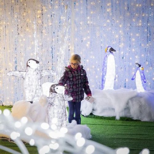 Noel Festival Light Park & Christmas Market, November 27, 2021 - January 2, 2022 at the Wisconsin State Fair Park Exposition Center