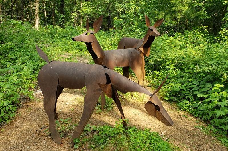 Stevens Point Sculpture Park