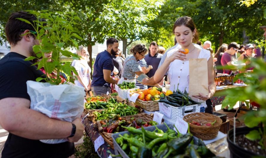 Wisconsin Farmers Markets: add these to your road trips!