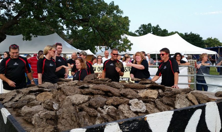 Wisconsin State Cow Chip Throw & Festival