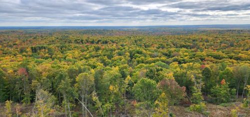 View in October from the Mountain Fire Lookout Tower, Oconto County, Wisconsin