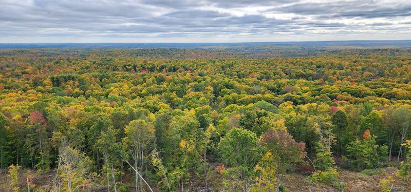 View in October from the Mountain Fire Lookout Tower, Oconto County, Wisconsin