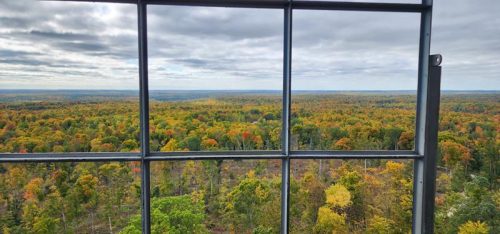View in October from the Mountain Fire Lookout Tower, Oconto County, Wisconsin