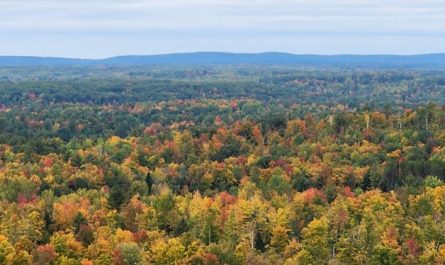 View in October from the Mountain Fire Lookout Tower, Oconto County, Wisconsin