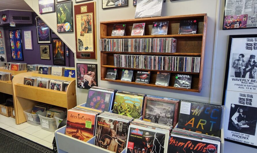 45+ Great Wisconsin Record Stores to Explore on Road Trips