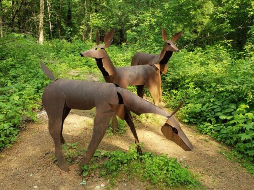 Stevens Point Sculpture Park, in Stevens Point, Wisconsin