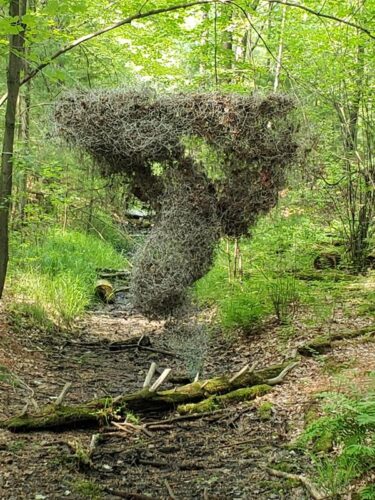 Stevens Point Sculpture Park, in Stevens Point, Wisconsin