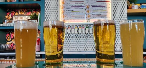 Beers at Cocoon Brewing Company, De Pere, Wisconsin