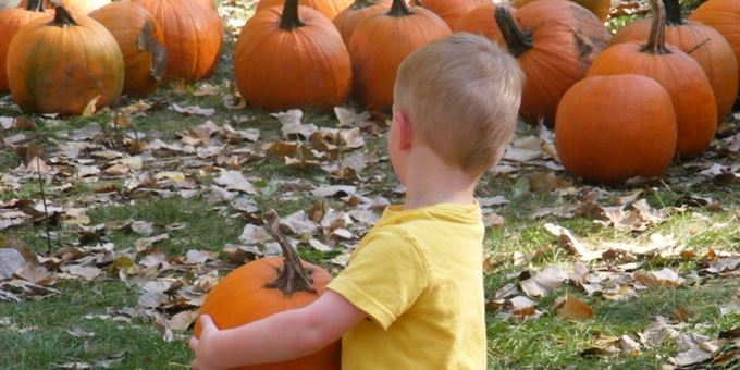 Wisconsin Weekend: Great Pumpkin Train at the National Railroad Museum in Green Bay, Wisconsin