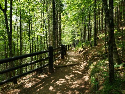 Trails at Copper Falls State Park outside of Mellen, Wisconsin