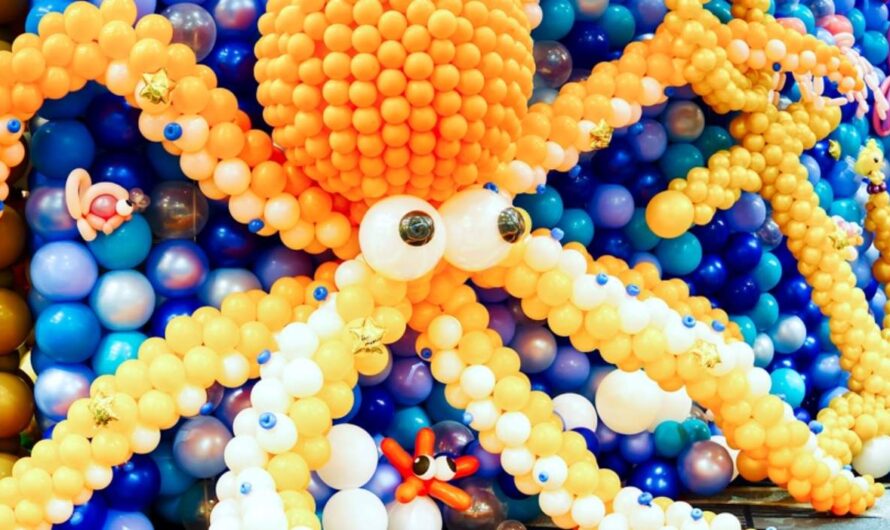 The Balloon Adventure