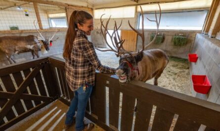 Paris Deer Park in Union Grove, Wisconsin. Visit Kenosha has more details!