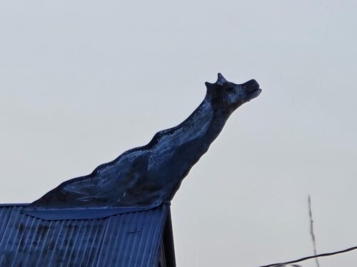 Cow ornament on a barn along Wisconsin Highway 68