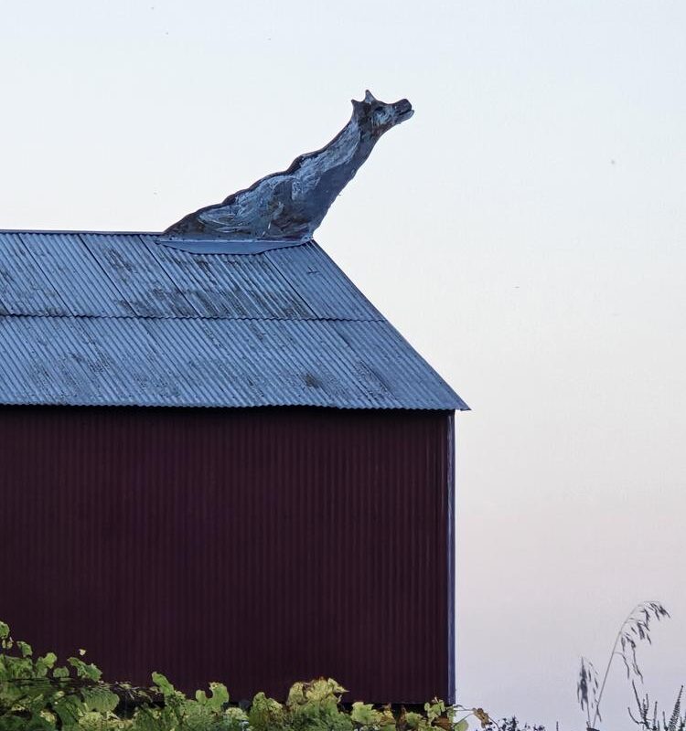 Cow ornament on a barn along Wisconsin Highway 68