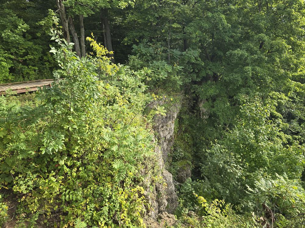 Part of the exposed rock along the escarpment at Dodge County Ledge Park